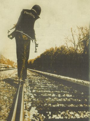 cover image of Northwestern Panther Yearbook 1973